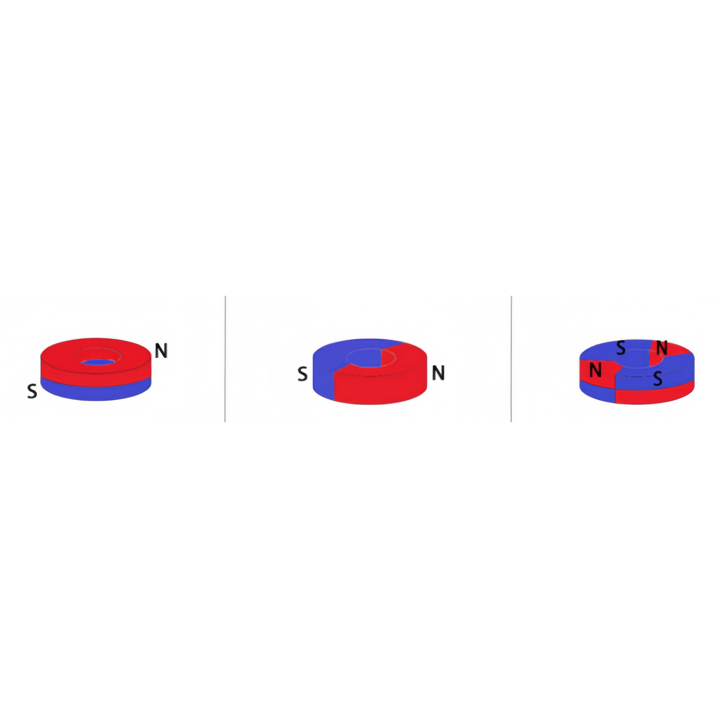Does a ring magnet have north and south poles?